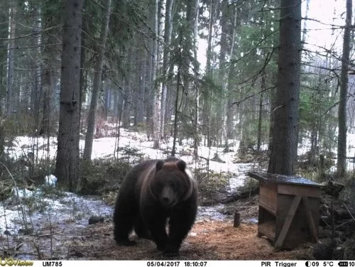 Uovision UM785-3G+ Cloud 20MP Full HD, LinckEazi Pilvipalvelua Tukeva Etäohjattava Riistakamera 4 Uovision UM785-3G+ Cloud 20MP Full HD, LinckEazi Pilvipalvelua Tukeva Etäohjattava Riistakamera - Image 4