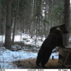 Uovision UM785-3G 20MP Full HD Etäohjattava 3G Riistakamera -Metsästys Verkäufe Naa