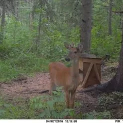 Uovision UM785-3G 20MP Full HD Etäohjattava 3G Riistakamera -Metsästys Verkäufe Poseeraus 500x302 1